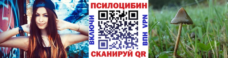 ссылка на мегу маркетплейс Любим Псилоцибиновые грибы прущие грибы